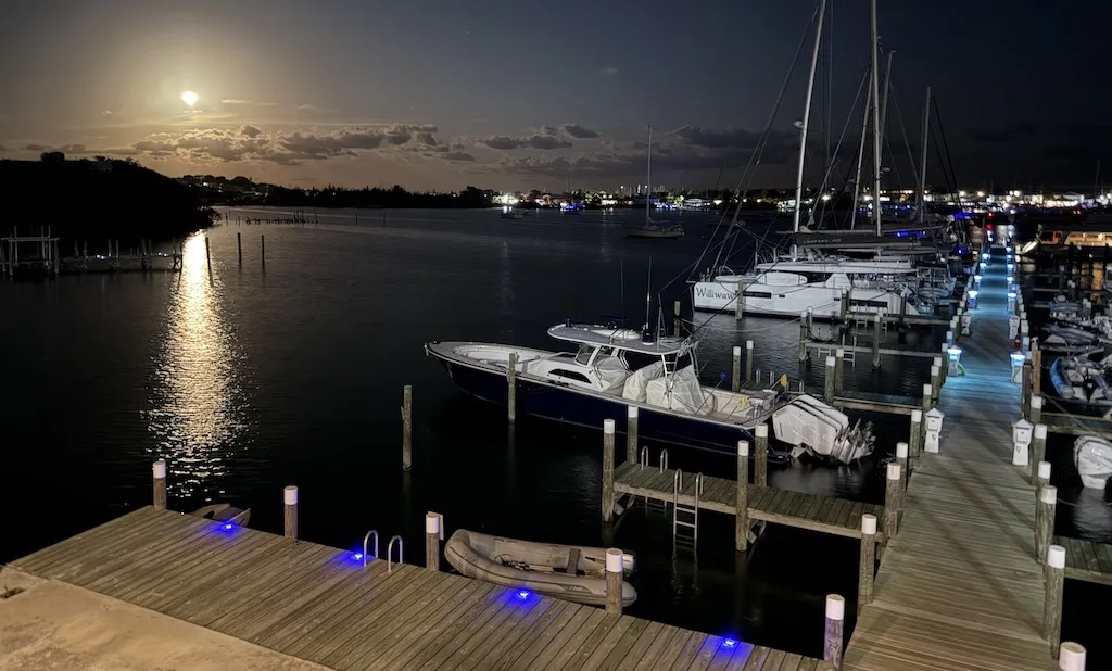 Marina at night
